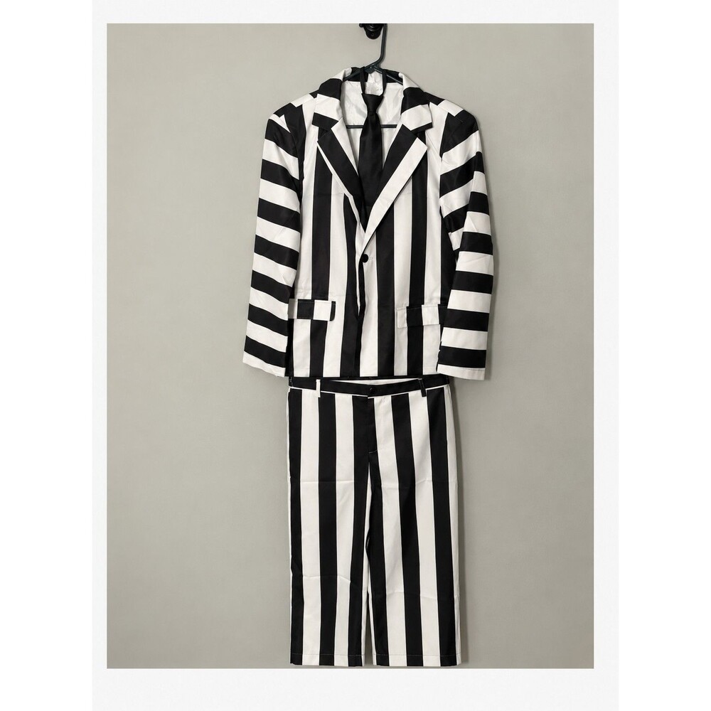 Beetlejuice Inspired Blk Wht Striped Adult M Halloween Costume Wig Makeup